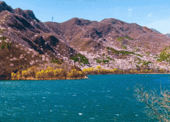 潭水库四周漫山遍野的春花烂漫